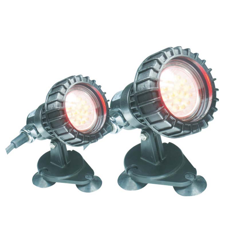 ປາທີ່ຢູ່ເໜືອໃຕ້ດິນ ແສງສະຫວ່າງ Submersible Pond